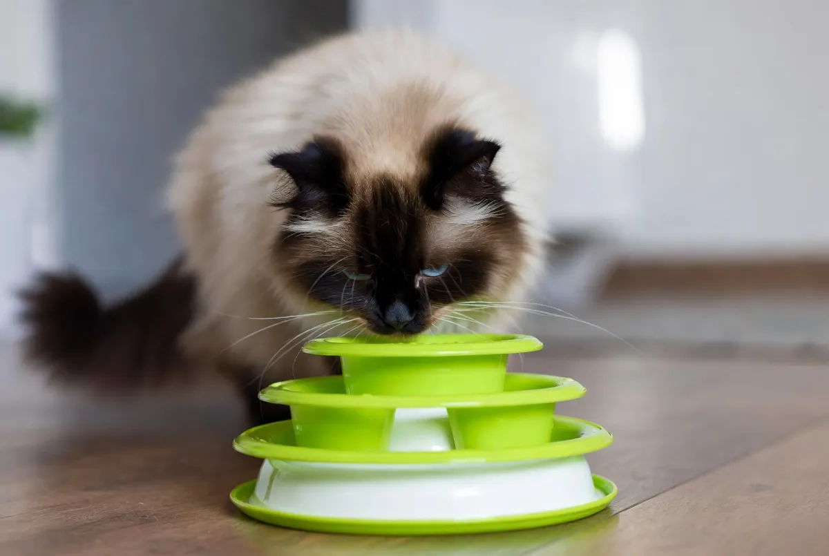 Matpussel & aktivering