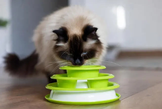 Matpussel & aktivering